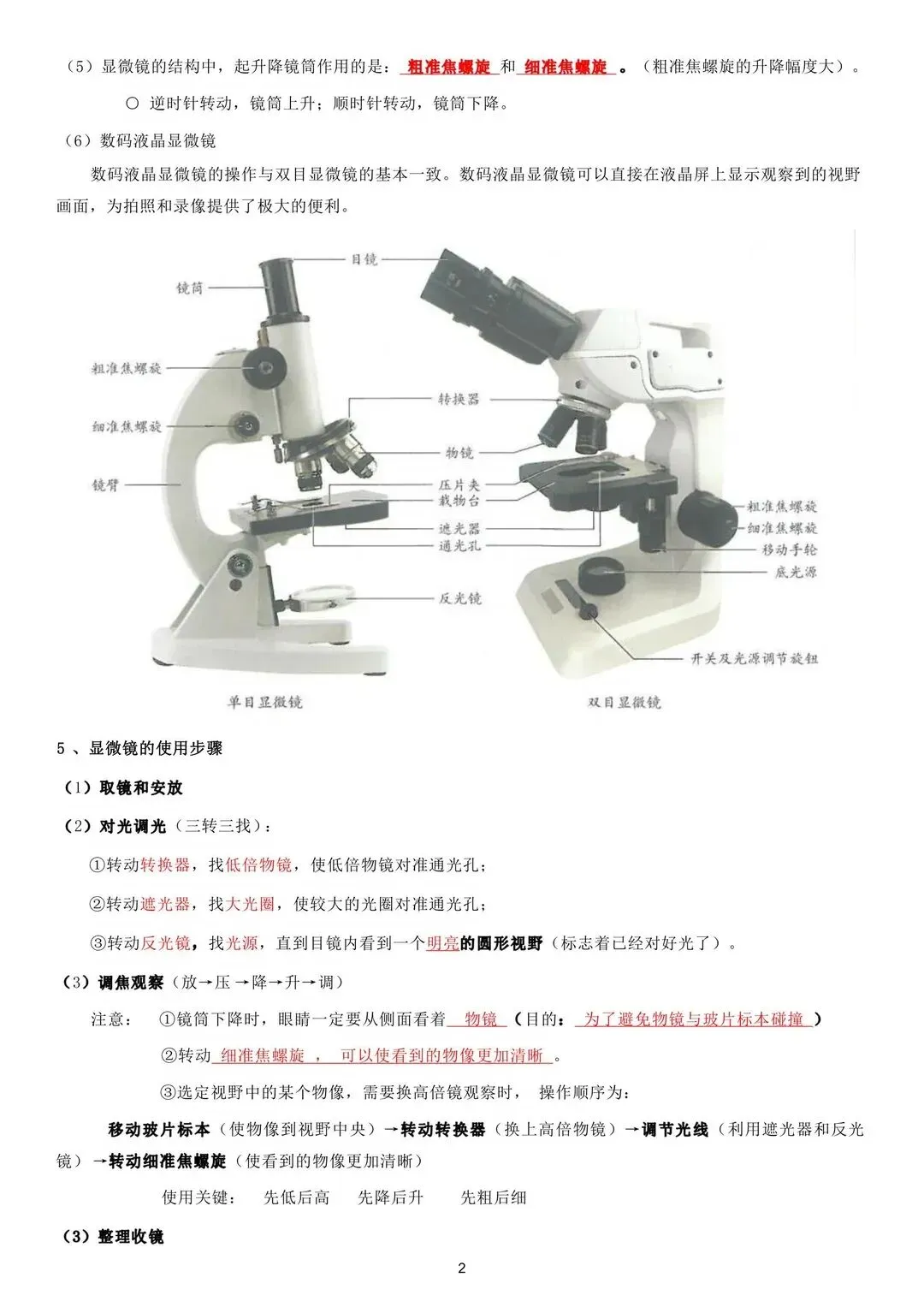 初一 2026 人教版七年级上册生物考点巩固必背清单梳理汇总,电子版可打印!-第3张图片-四季读书网 初一 2026 人教版七年级上册生物考点巩固必背清单梳理汇总,电子版可打印!-第3张图片-四季读书网