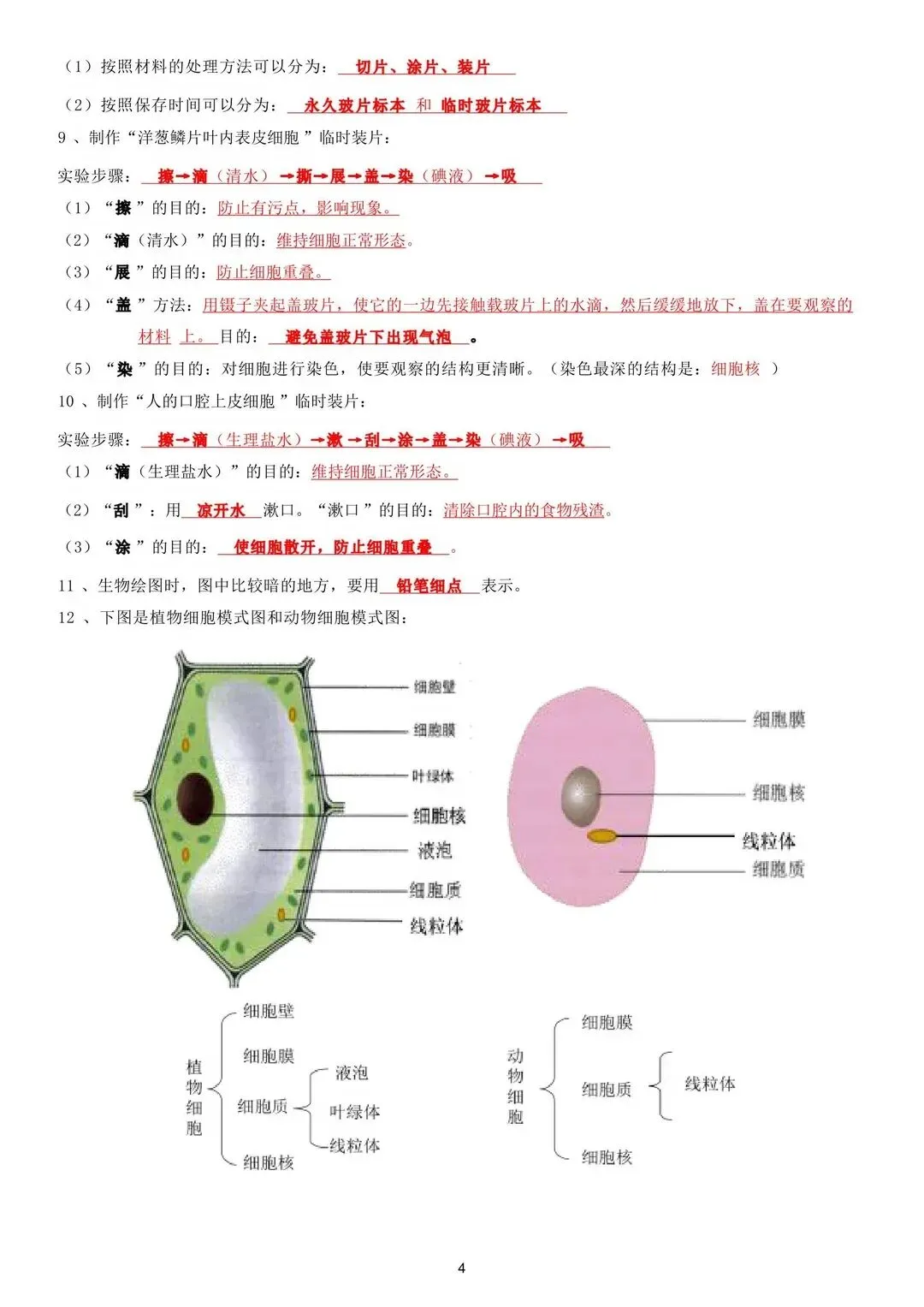 初一 2026 人教版七年级上册生物考点巩固必背清单梳理汇总,电子版可打印!-第5张图片-四季读书网 初一 2026 人教版七年级上册生物考点巩固必背清单梳理汇总,电子版可打印!-第5张图片-四季读书网