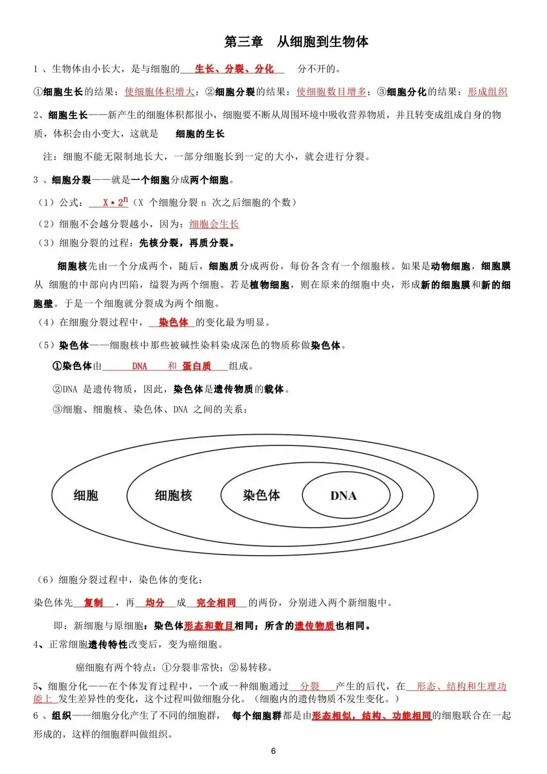 初一 2026 人教版七年级上册生物考点巩固必背清单梳理汇总,电子版可打印!-第7张图片-四季读书网 初一 2026 人教版七年级上册生物考点巩固必背清单梳理汇总,电子版可打印!-第7张图片-四季读书网