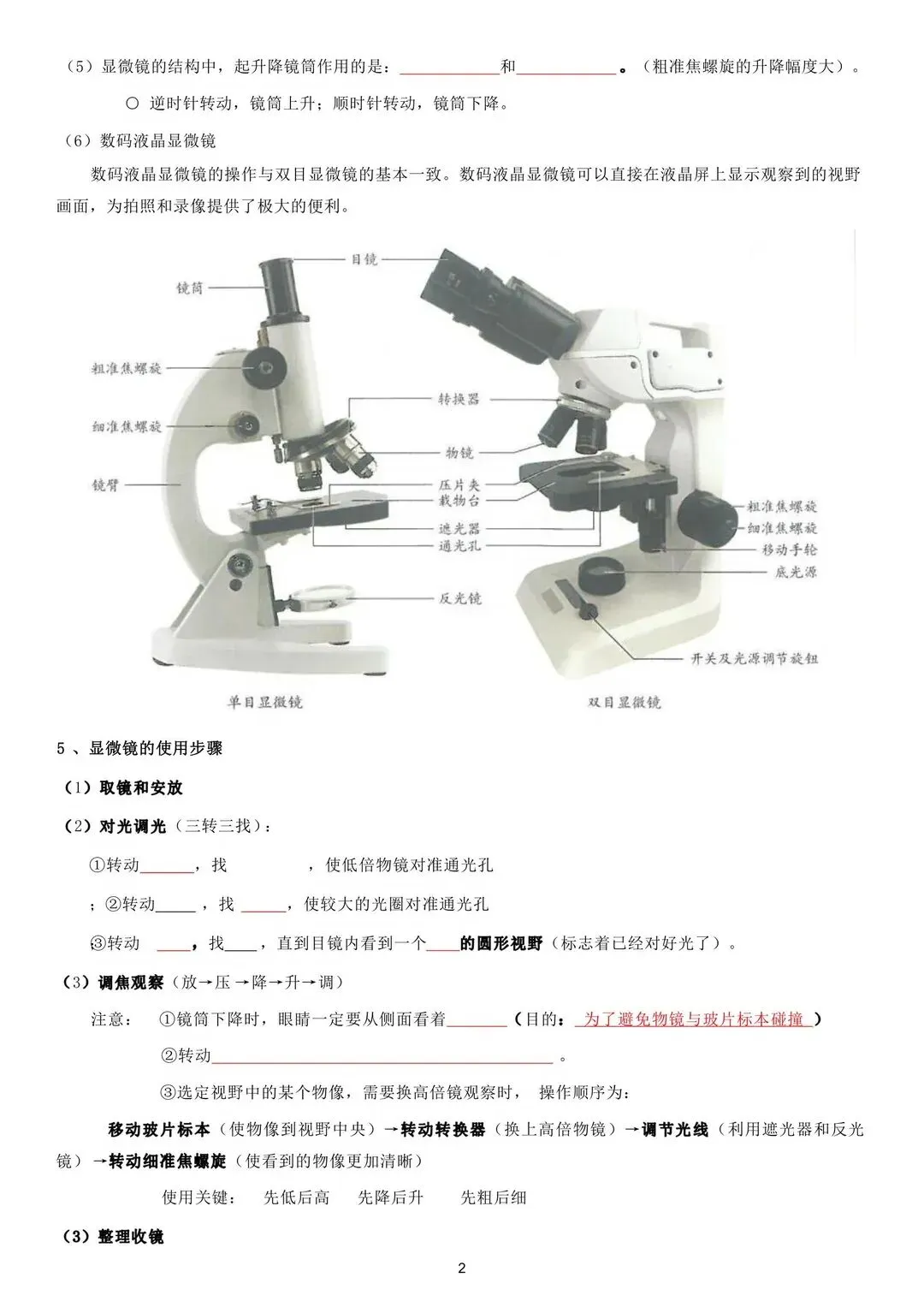 初一 2026 人教版七年级上册生物考点巩固必背清单梳理汇总,电子版可打印!-第9张图片-四季读书网 初一 2026 人教版七年级上册生物考点巩固必背清单梳理汇总,电子版可打印!-第9张图片-四季读书网