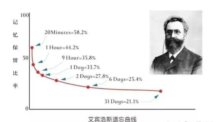 中秋遇国庆|上海中考英语 1600 高频词汇背诵表,假期抓紧背!-第2张图片-四季读书网 中秋遇国庆|上海中考英语 1600 高频词汇背诵表,假期抓紧背!-第2张图片-四季读书网