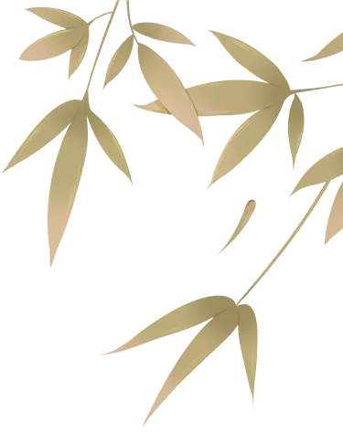 【新增惠民日】每月初一及十五!金坛茅山金牛洞景区免费开放,登高祈福纳吉祥-第1张图片-四季读书网 【新增惠民日】每月初一及十五!金坛茅山金牛洞景区免费开放,登高祈福纳吉祥-第1张图片-四季读书网