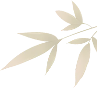 【新增惠民日】每月初一及十五!金坛茅山金牛洞景区免费开放,登高祈福纳吉祥-第7张图片-四季读书网 【新增惠民日】每月初一及十五!金坛茅山金牛洞景区免费开放,登高祈福纳吉祥-第7张图片-四季读书网
