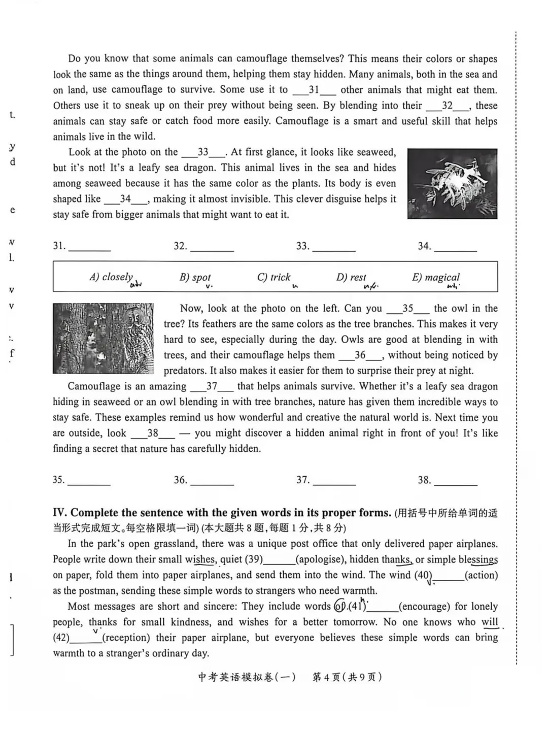 27届上海中考英语试卷结构官宣,新增130个单词!-第18张图片-四季读书网