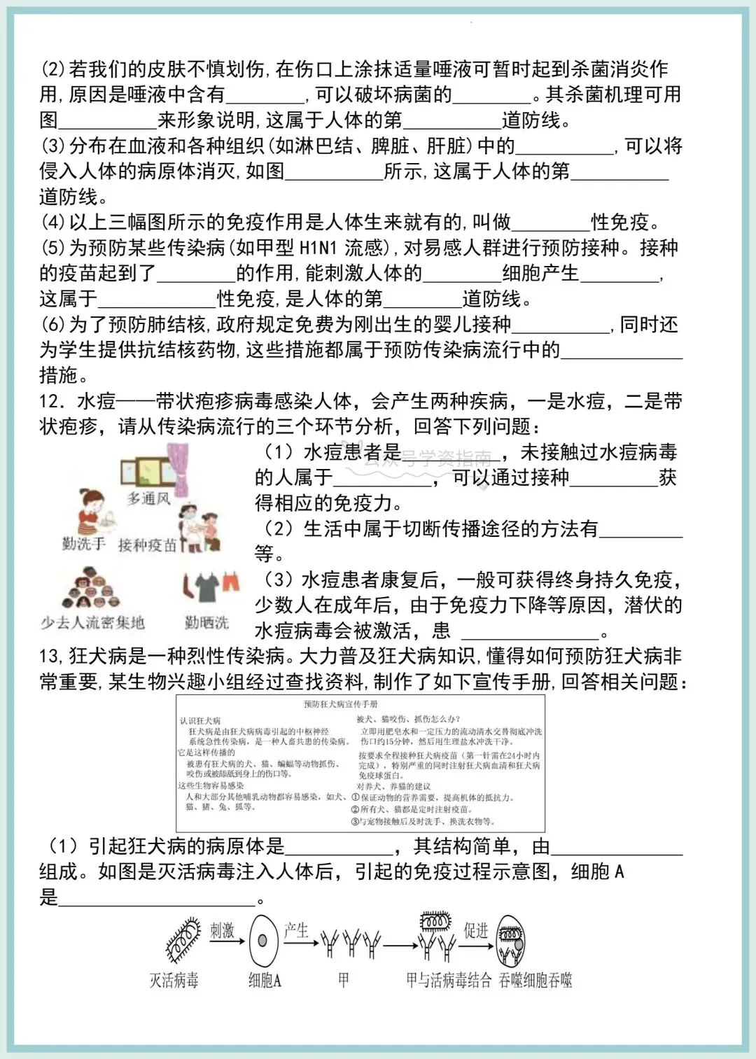 初二生物|2026年人教版八上生物必备试图填空专题训练+答案-第5张图片-四季读书网