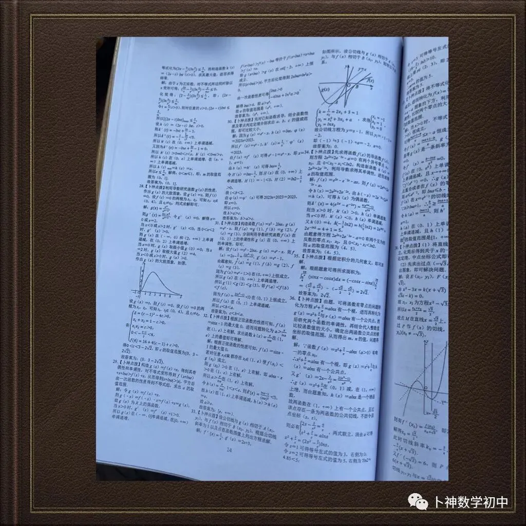 更新第6分册共35本《名校高考数学热难点专题训练》函数导数数列不等式三角立体几何圆锥曲线排列组合概率-第36张图片-四季读书网