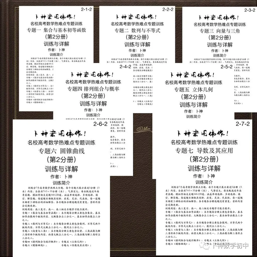 更新第6分册共35本《名校高考数学热难点专题训练》函数导数数列不等式三角立体几何圆锥曲线排列组合概率-第38张图片-四季读书网