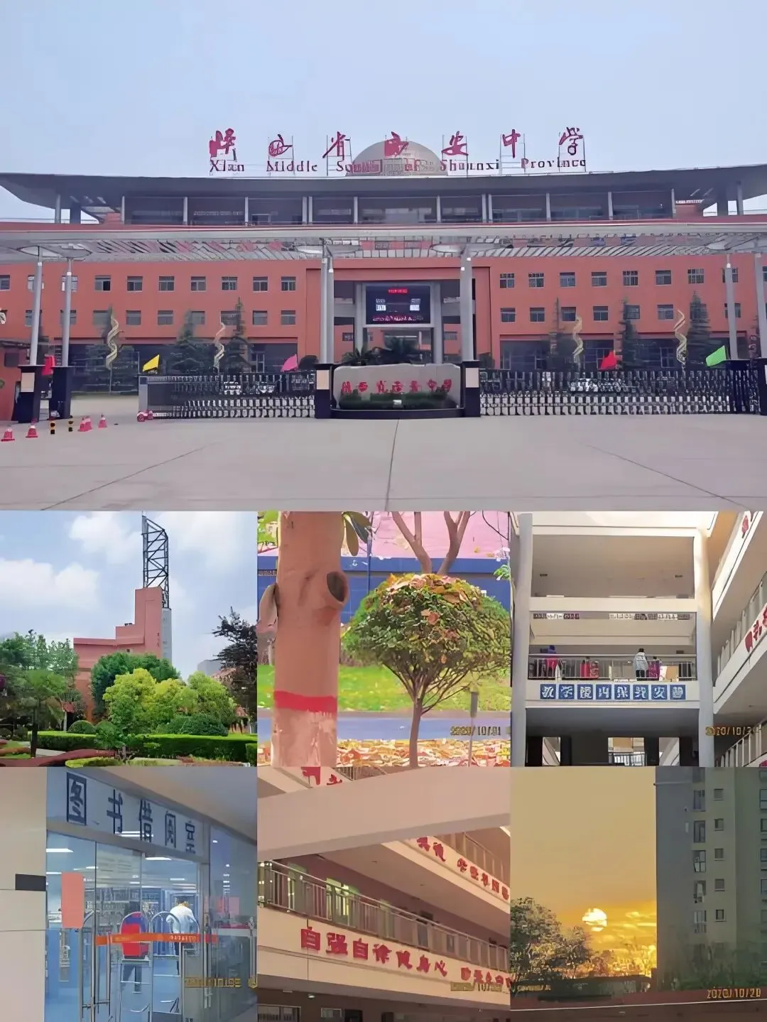 西安未央区中考第一批次高中汇总!六所公办高中学校详细解读-第5张图片-四季读书网 西安未央区中考第一批次高中汇总!六所公办高中学校详细解读-第5张图片-四季读书网