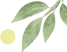 研学厚植少年底气,砺行勇闯初三征途——2026年漳州市教师进修学院附属通源学校“红色八闽行”研学实践教育活动-第3张图片-四季读书网