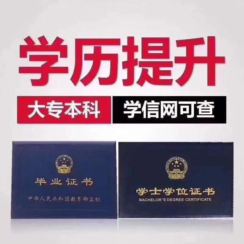 全国成人高考各科目题型及分数解析!(选择题高达200多分)-第4张图片-四季读书网