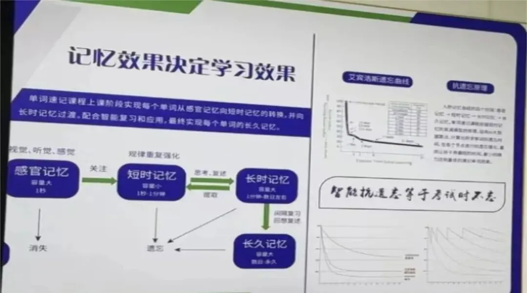 2026年【备战期中考】新学期词汇提升!杭州高中高一高二高三高考3500单词一对一专属名师带背,锐思教育针对性攻克词汇难关,免费试听预约-第11张图片-四季读书网