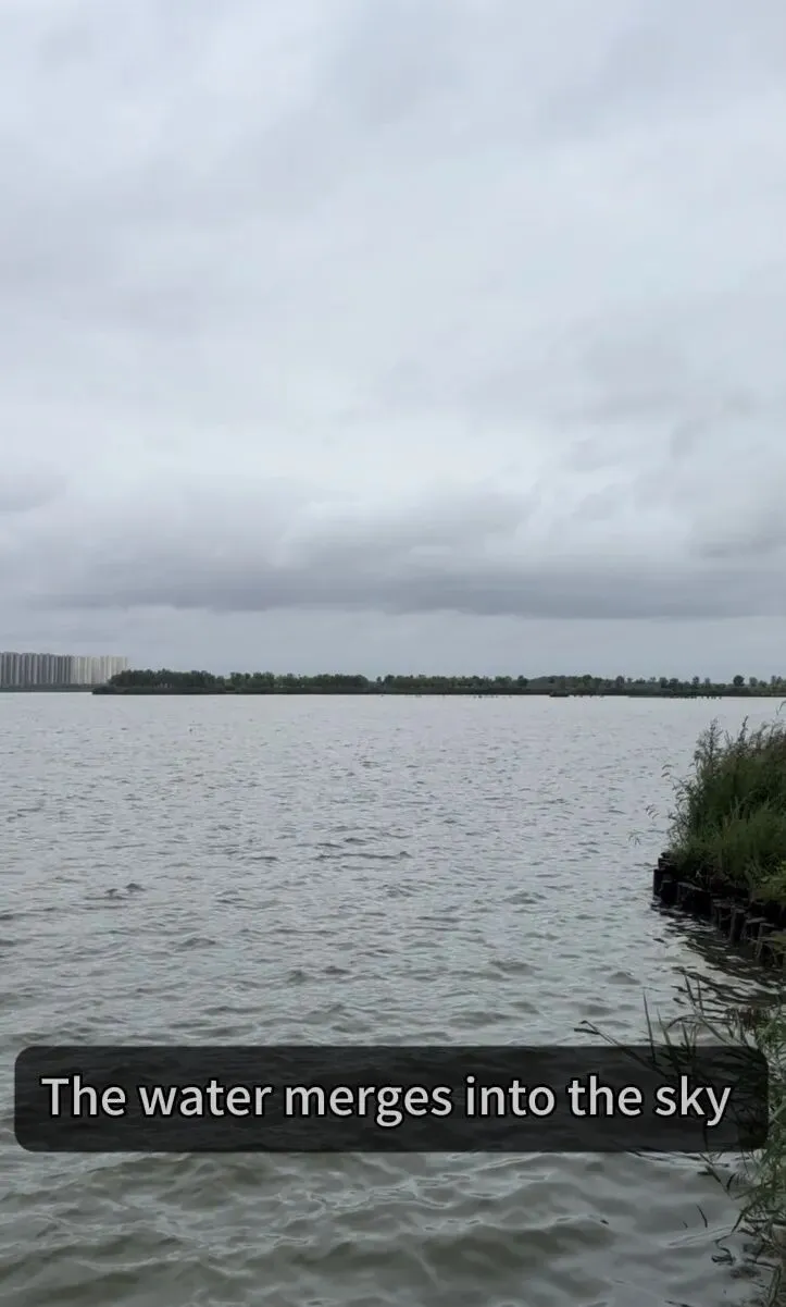 三个词,写出晋阳湖的美——中考英语场景词汇-第3张图片-四季读书网