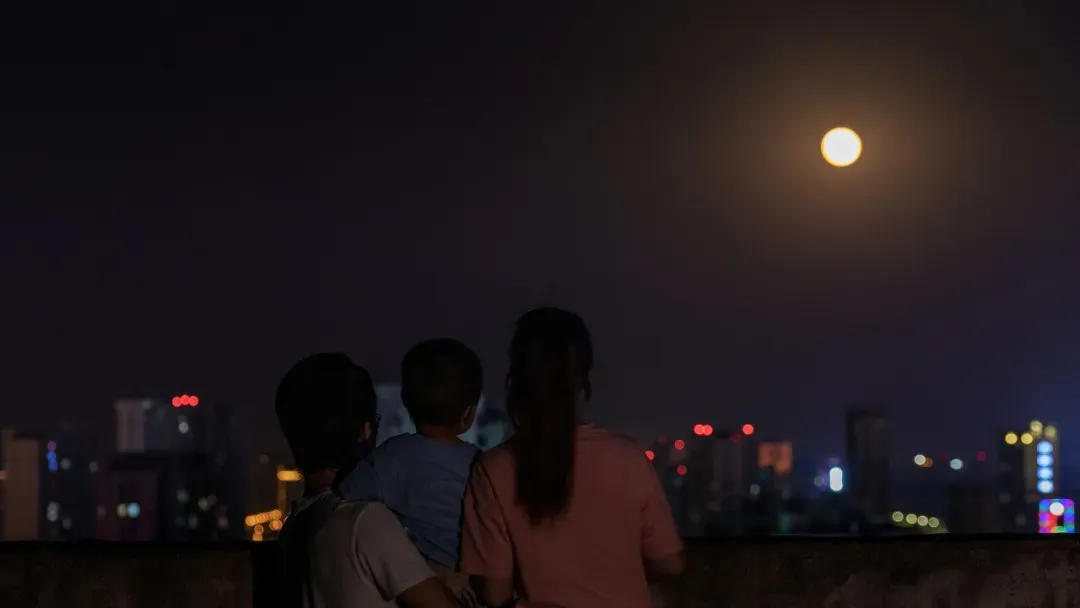 高考语文第2172天:但愿人长久-第2张图片-四季读书网