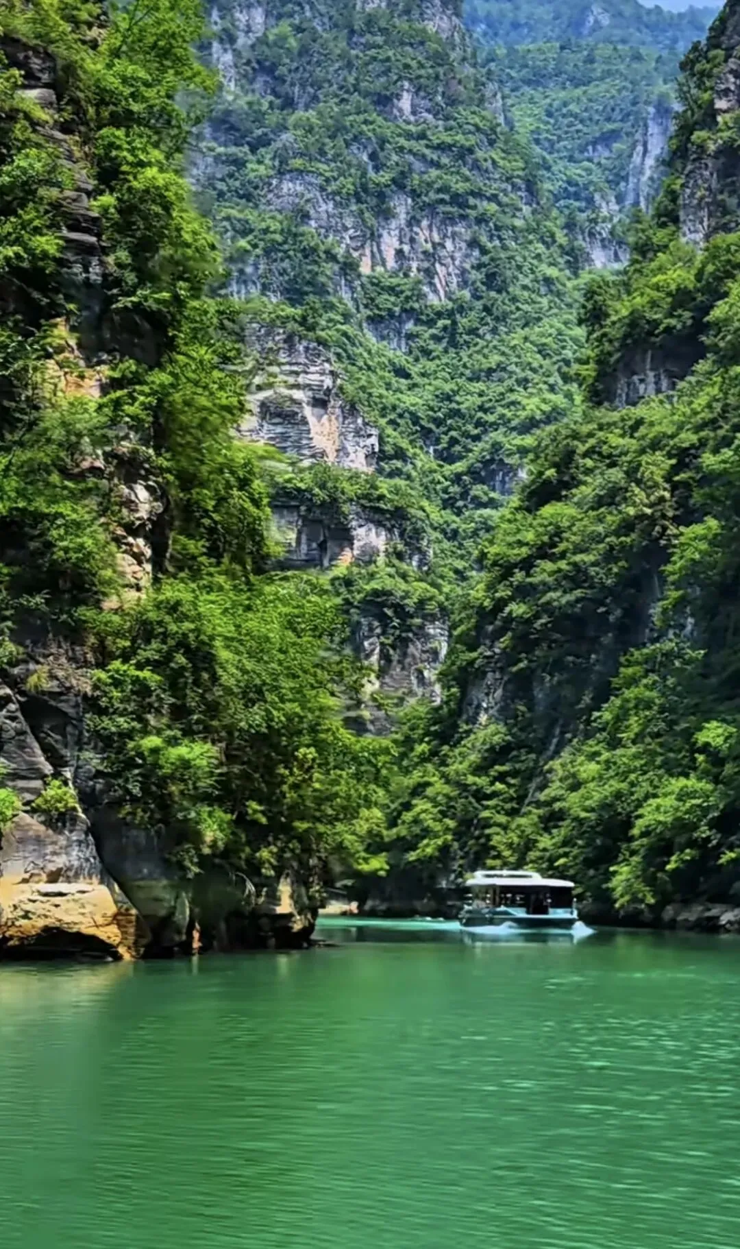 新高考英语读后续写|心理描写高级例句最新整理-第1张图片-四季读书网