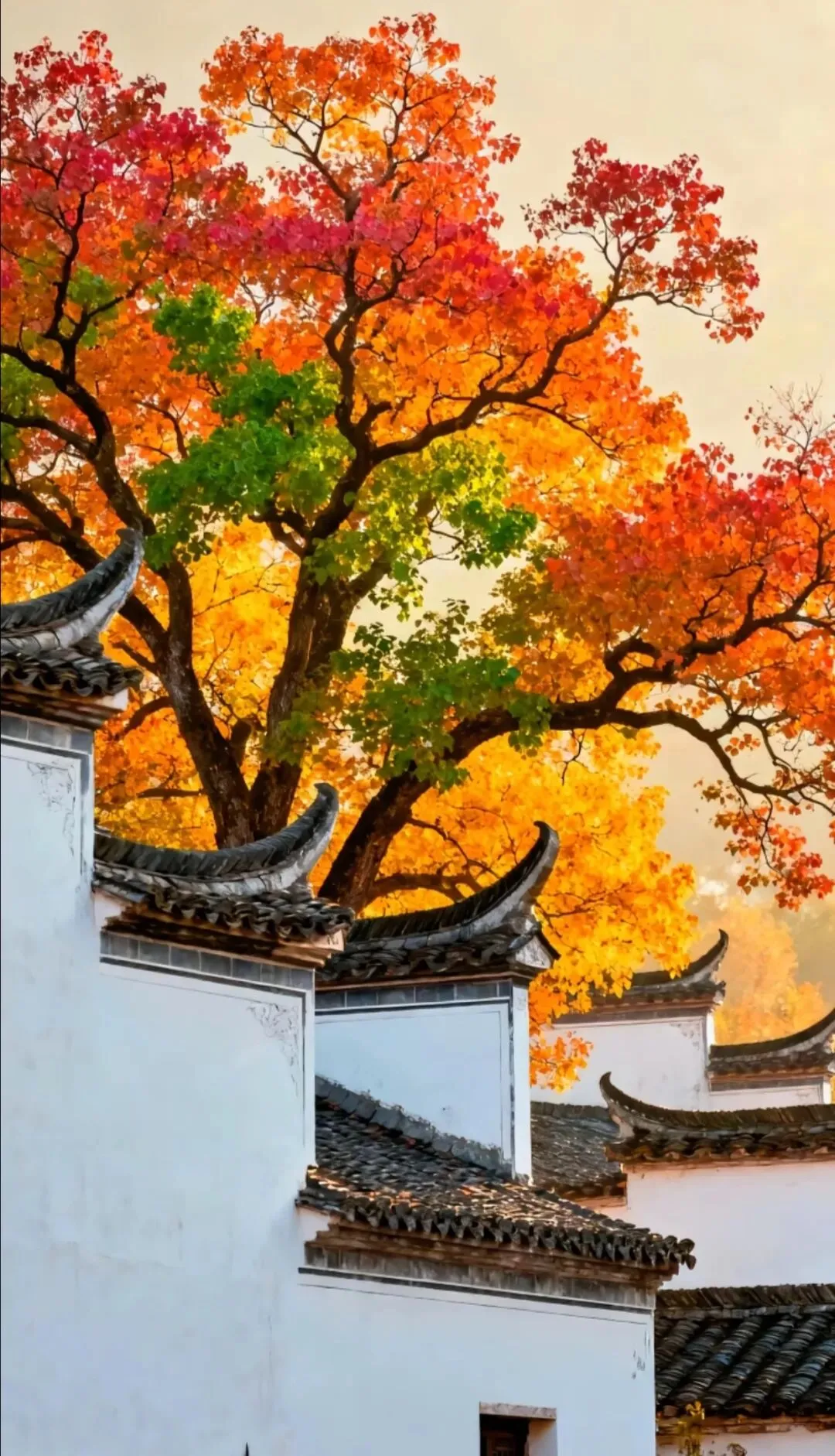 26-27百师联盟高一9月检测一数学试卷-第10张图片-四季读书网