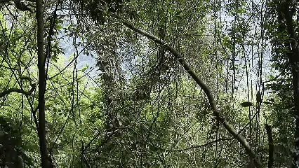 中考英语复习 补全对话21篇(不分版本)-第1张图片-四季读书网 中考英语复习 补全对话21篇(不分版本)-第1张图片-四季读书网