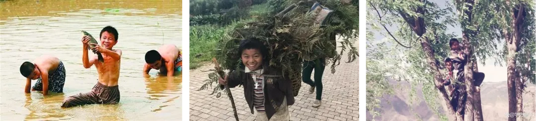 中学校长大实话:狠抓体育后,体育和中考成绩年年当地第一-第8张图片-四季读书网 中学校长大实话:狠抓体育后,体育和中考成绩年年当地第一-第8张图片-四季读书网
