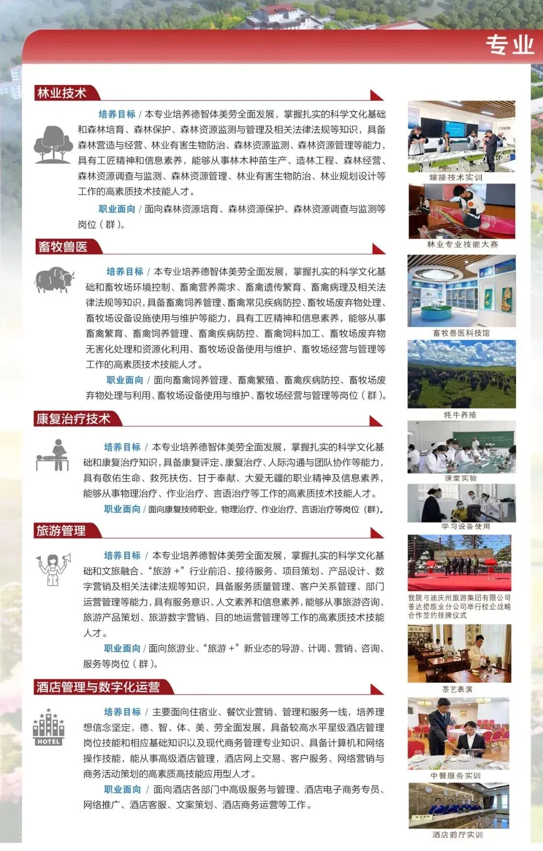 【云南春季高考公办学校】香格里拉职业学院2026年春季/职教招生简章-第7张图片-四季读书网 【云南春季高考公办学校】香格里拉职业学院2026年春季/职教招生简章-第7张图片-四季读书网