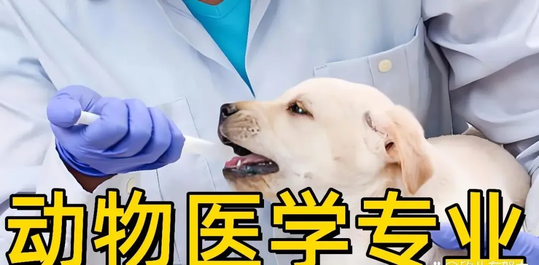 2026高考投档线最大黑马:这个农学专业分数反超临床,背后是考生选专业逻辑变了-第2张图片-四季读书网
