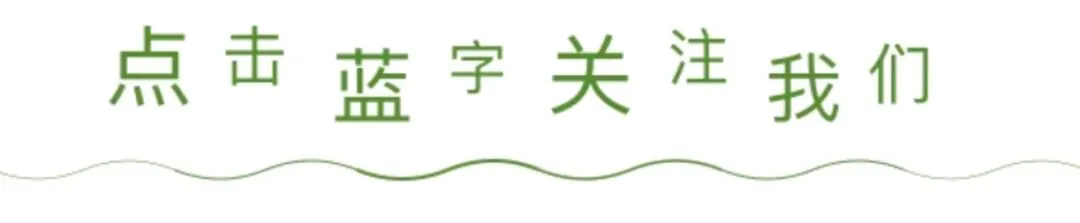 初二物理(上)专题突破一:运动的世界(2)-第1张图片-四季读书网