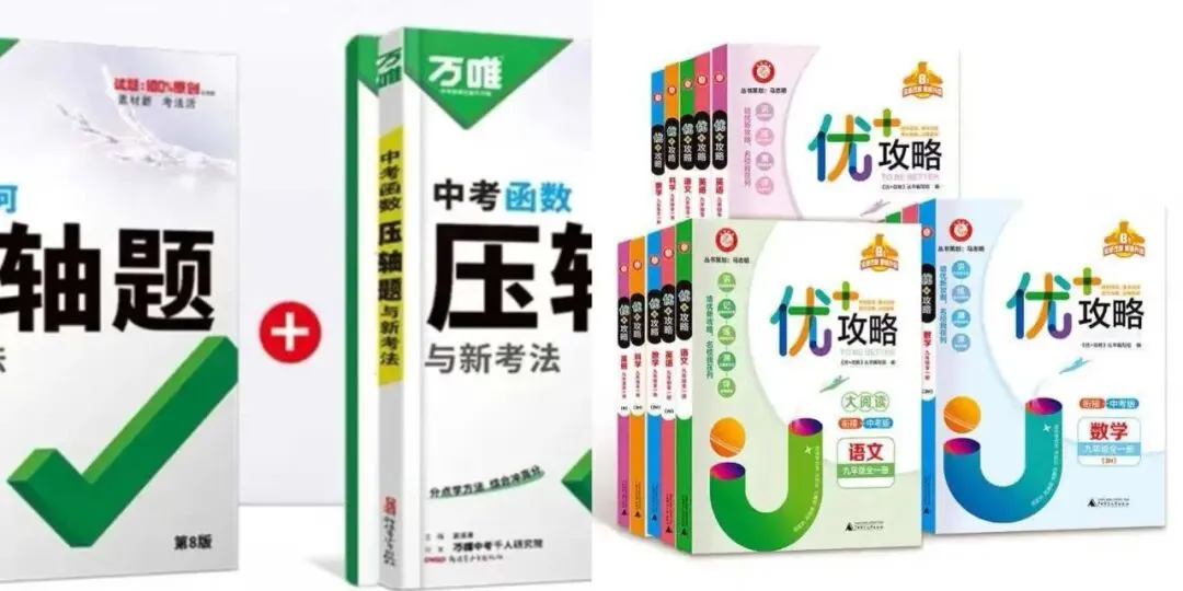 浙江考生初三数学一轮、二轮、套卷复习用书挑选指南-第3张图片-四季读书网