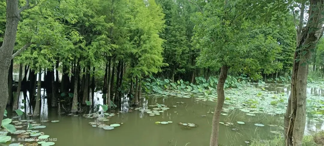 初三男孩持刀架住妈妈脖子上逼母亲按摩,这个孩子到底经历了什么-第1张图片-四季读书网 初三男孩持刀架住妈妈脖子上逼母亲按摩,这个孩子到底经历了什么-第1张图片-四季读书网