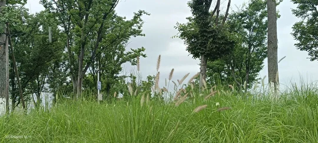 初三男孩持刀架住妈妈脖子上逼母亲按摩,这个孩子到底经历了什么-第2张图片-四季读书网 初三男孩持刀架住妈妈脖子上逼母亲按摩,这个孩子到底经历了什么-第2张图片-四季读书网