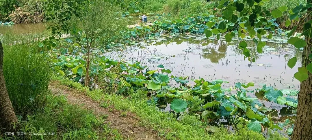 初三男孩持刀架住妈妈脖子上逼母亲按摩,这个孩子到底经历了什么-第4张图片-四季读书网 初三男孩持刀架住妈妈脖子上逼母亲按摩,这个孩子到底经历了什么-第4张图片-四季读书网