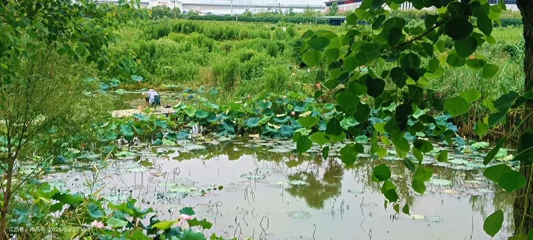 初三男孩持刀架住妈妈脖子上逼母亲按摩,这个孩子到底经历了什么-第6张图片-四季读书网 初三男孩持刀架住妈妈脖子上逼母亲按摩,这个孩子到底经历了什么-第6张图片-四季读书网