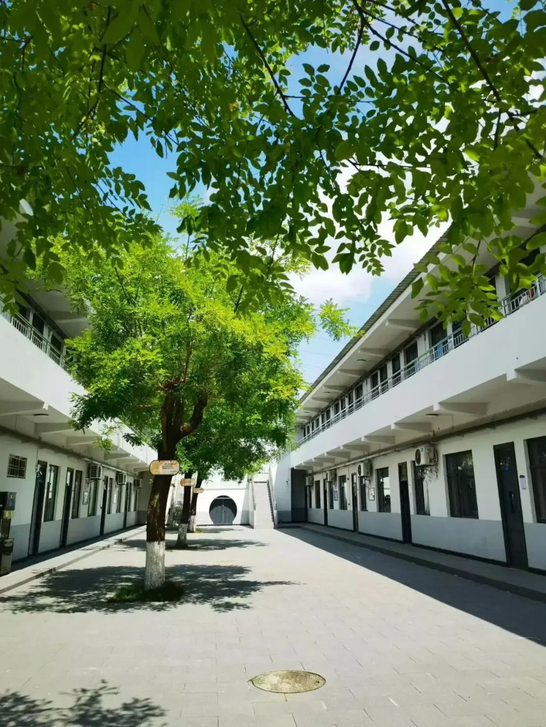 高考各种升学方式-第4张图片-四季读书网 高考各种升学方式-第4张图片-四季读书网
