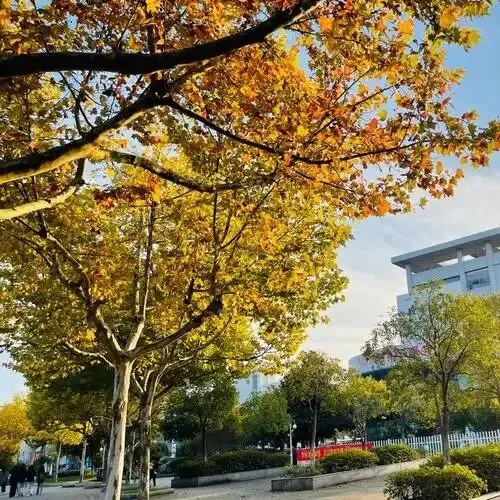 九年级 罗松福 中考(预备作文)-第2张图片-四季读书网 九年级 罗松福 中考(预备作文)-第2张图片-四季读书网