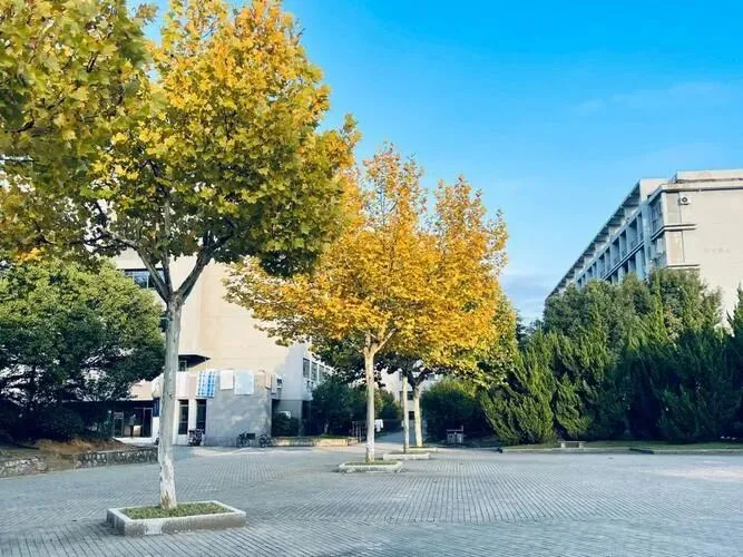 九年级 罗松福 中考(预备作文)-第3张图片-四季读书网 九年级 罗松福 中考(预备作文)-第3张图片-四季读书网
