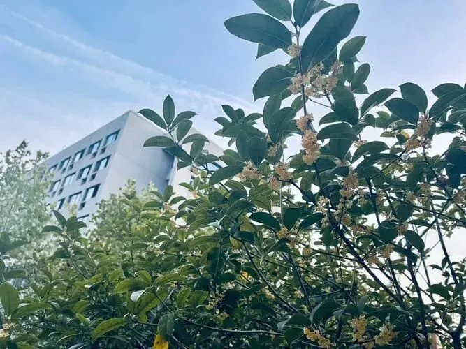 九年级 罗松福 中考(预备作文)-第4张图片-四季读书网 九年级 罗松福 中考(预备作文)-第4张图片-四季读书网
