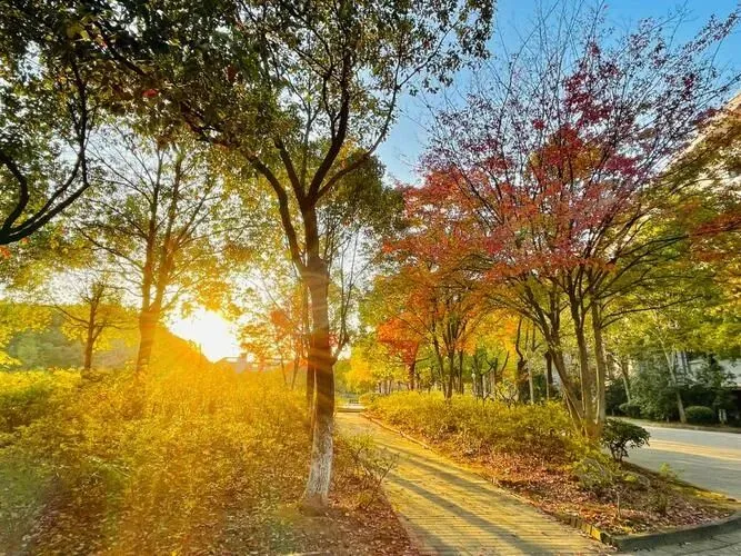 九年级 罗松福 中考(预备作文)-第5张图片-四季读书网 九年级 罗松福 中考(预备作文)-第5张图片-四季读书网