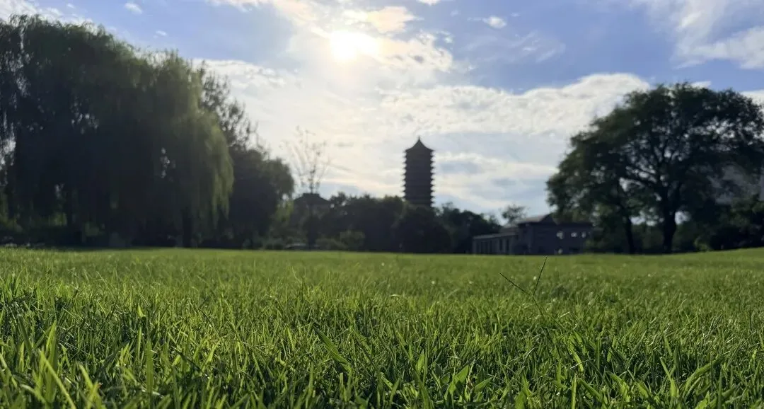 对话L学员:高考失利进入末流211,大一差点摆烂,最后保上北大,我做对了哪些事?-第2张图片-四季读书网