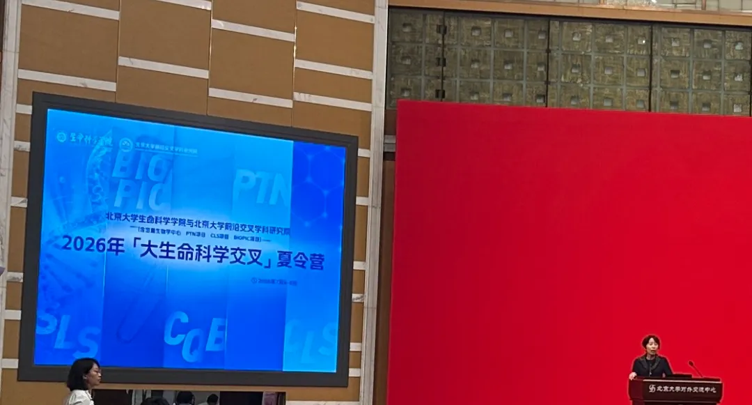 对话L学员:高考失利进入末流211,大一差点摆烂,最后保上北大,我做对了哪些事?-第11张图片-四季读书网