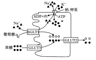 每日一练 | 高考生物专题训练突破!(41)-第5张图片-四季读书网