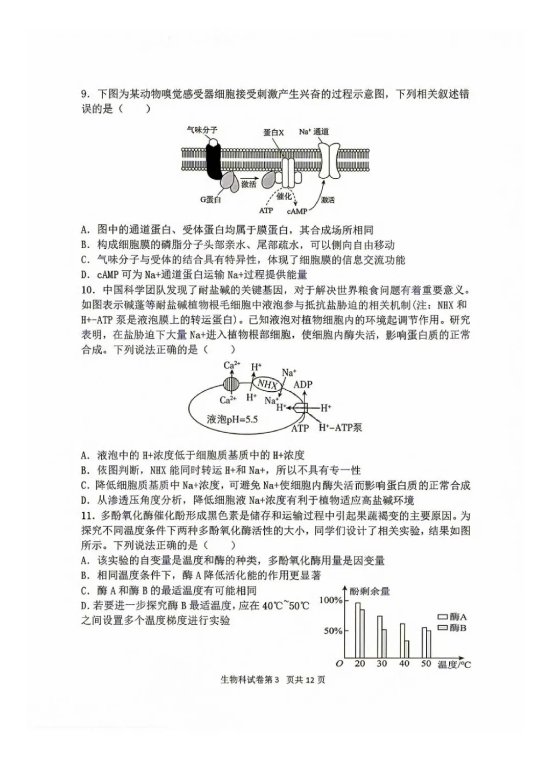 东北育才高中高三上第一次模拟考试卷+答案【2026-2027】【生物】【高清电子版】-第4张图片-四季读书网