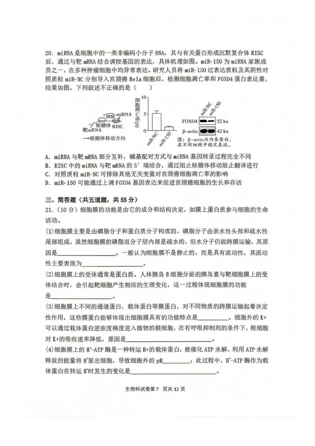 东北育才高中高三上第一次模拟考试卷+答案【2026-2027】【生物】【高清电子版】-第8张图片-四季读书网