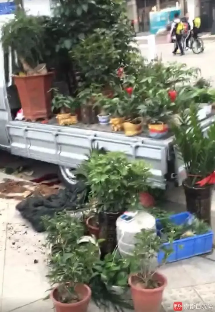 深圳初二学生骑电动车摔倒,被花盆割颈不幸身亡-第2张图片-四季读书网