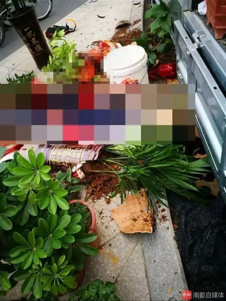 深圳初二学生骑电动车摔倒,被花盆割颈不幸身亡-第3张图片-四季读书网