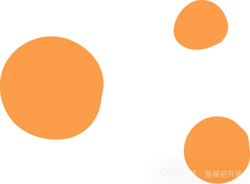 2026年扬州市中考自主招生情况总结-第13张图片-四季读书网