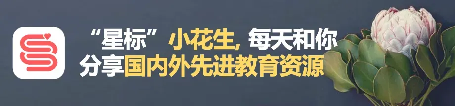 不想卷, 我带初二儿子到泰国读书, 没想到现实和想象还真不一样…-第1张图片-四季读书网