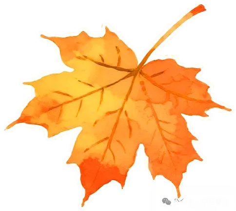 法国中考、高考新规:所有科目都要考法语表达,最高扣 2 分-第7张图片-四季读书网