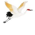 精研中考新方向,深耕语文课堂主阵地——建安区实验中学语文教研活动纪实-第23张图片-四季读书网