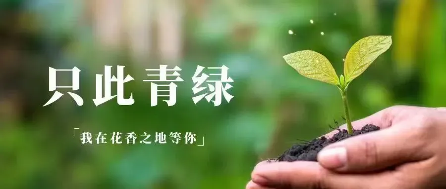 2028年高考语文一轮备考:第一组 诗歌选择题设误角度【小纸条速记清单】-第2张图片-四季读书网 2028年高考语文一轮备考:第一组 诗歌选择题设误角度【小纸条速记清单】-第2张图片-四季读书网