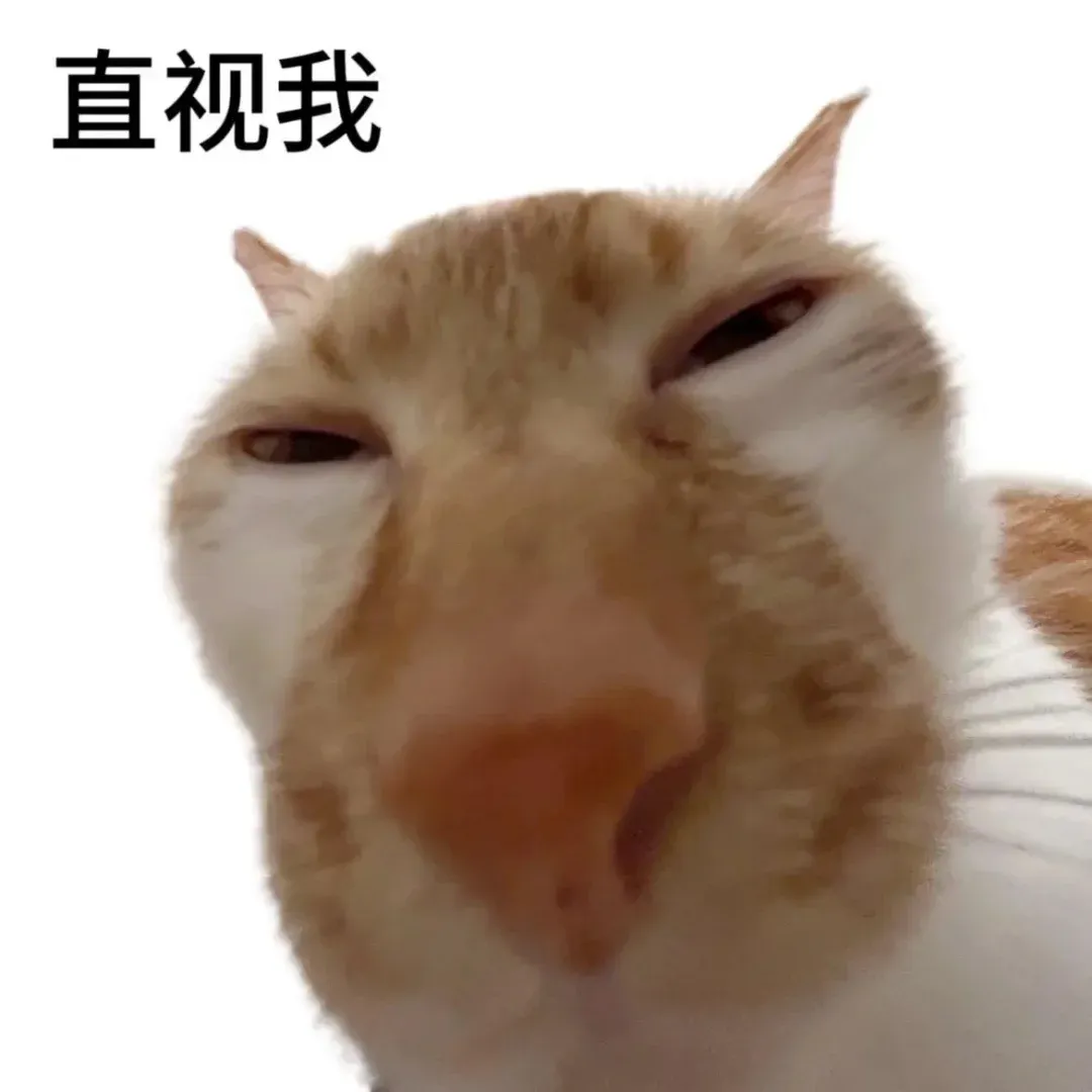 什么?广东春季高考也能上省外公办?!-第23张图片-四季读书网