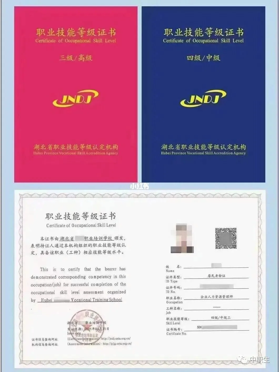 2027广东3+证书高考报名指南,中职生请收藏!-第17张图片-四季读书网