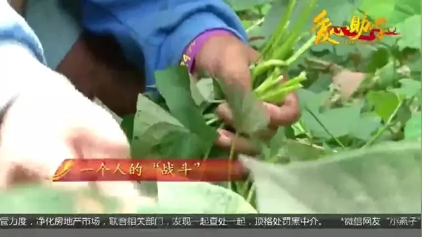 母亲改嫁父亲去世,他初二就打工养活自己,为上大学到工地做苦力-第11张图片-四季读书网 母亲改嫁父亲去世,他初二就打工养活自己,为上大学到工地做苦力-第11张图片-四季读书网