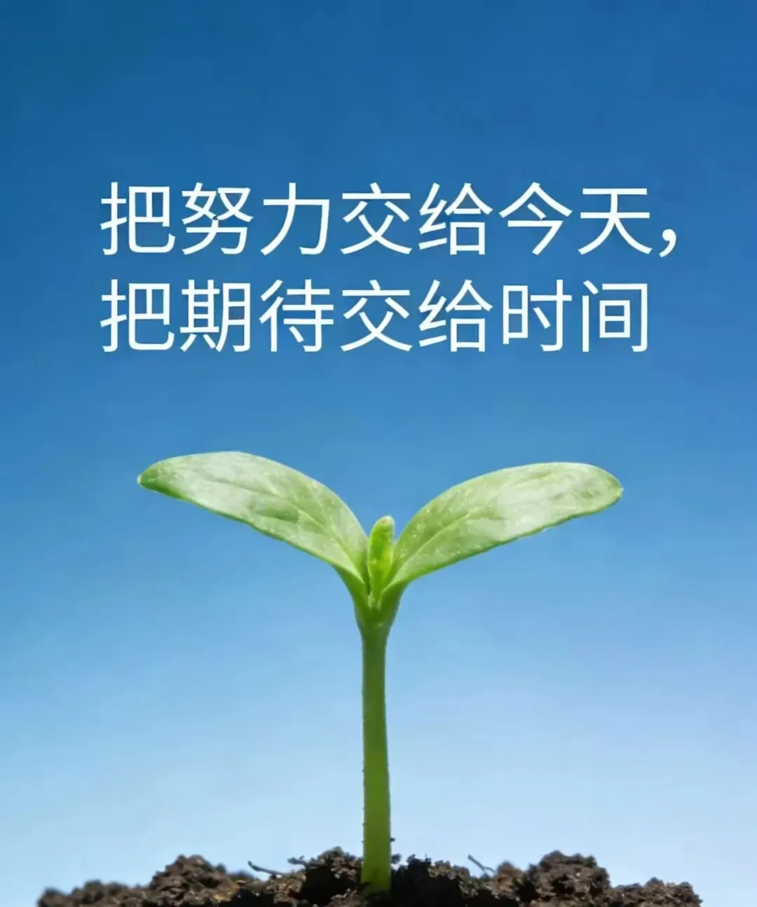【高考备考】厘清备考误区 夯实一轮根基——新高考下薄弱高中历史一轮复习的避坑策略与校本实践-第6张图片-四季读书网